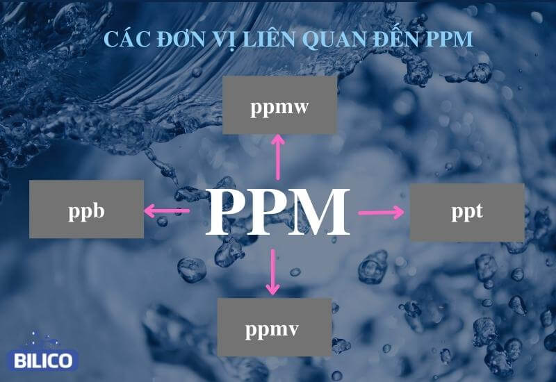 Các đơn vị liên quan đến PPM