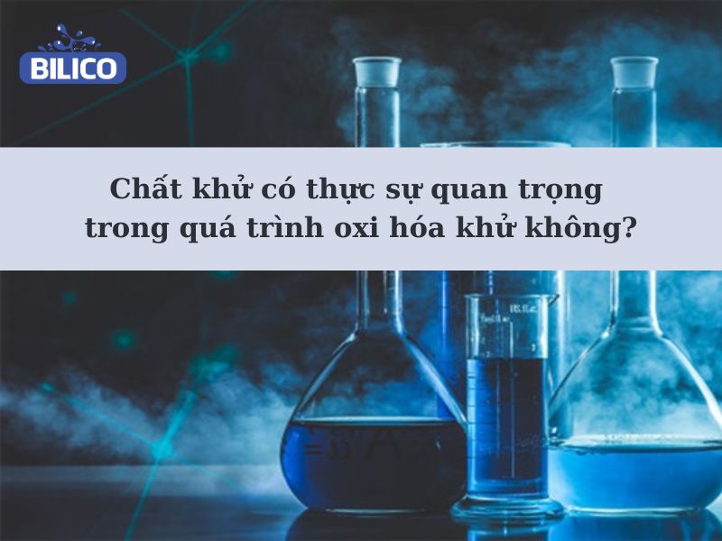 chất khử có thực sự quan trọng