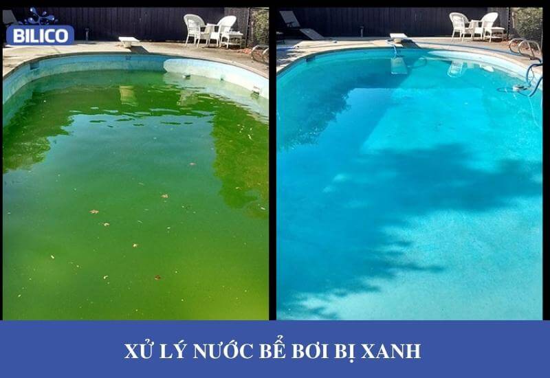 xử lý nước bể bơi bị xanh