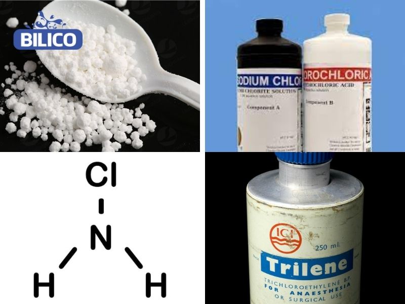 Các loại hóa chất clorine phổ biến