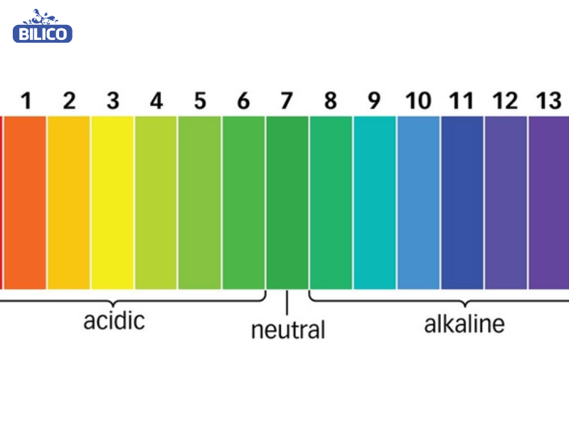 Độ pH được phân chia thế nào