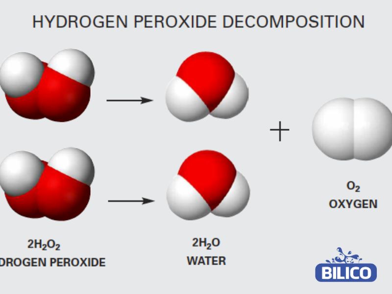 Hydrogen peroxide có tính phân hủy tạo nước và oxygen